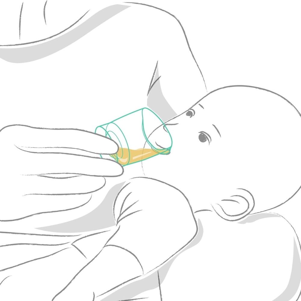 Vasitos de Alimentación