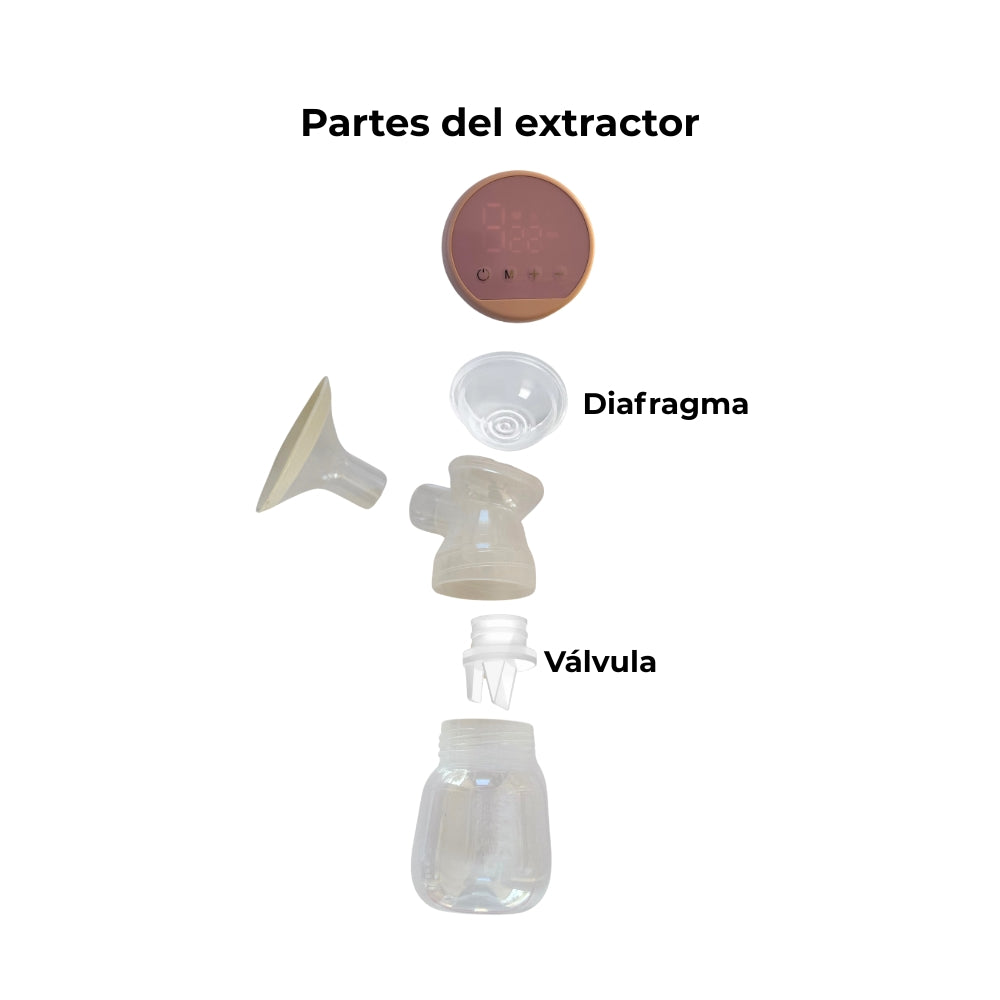 Kit repuestos Extractor Eléctrico